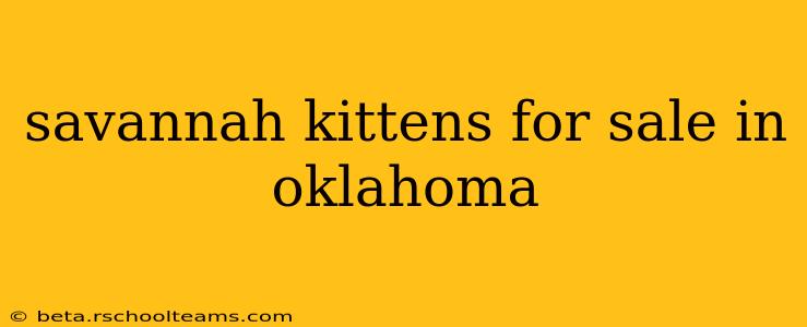 savannah kittens for sale in oklahoma