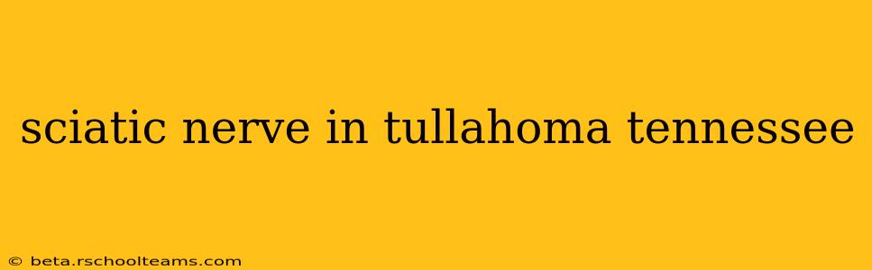 sciatic nerve in tullahoma tennessee