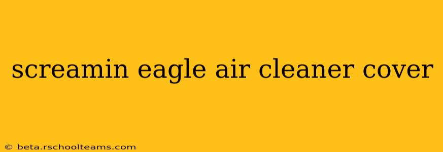screamin eagle air cleaner cover