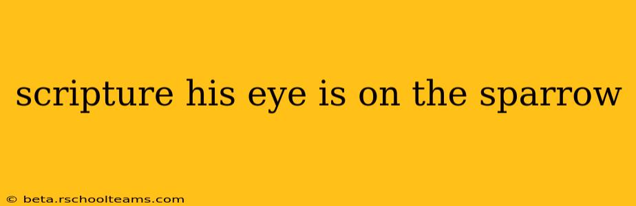 scripture his eye is on the sparrow