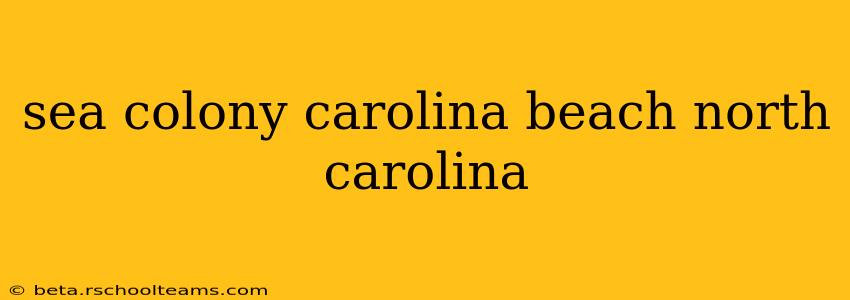 sea colony carolina beach north carolina