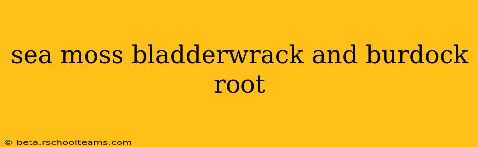 sea moss bladderwrack and burdock root