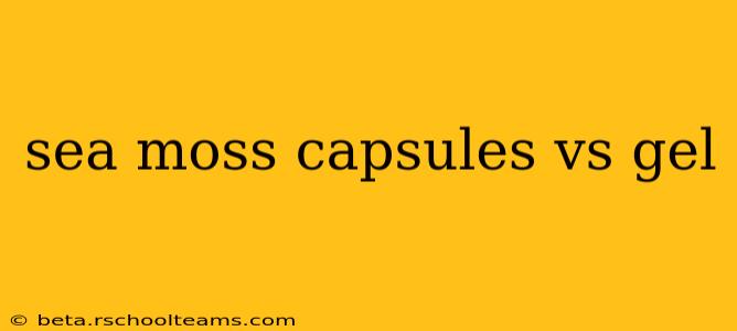 sea moss capsules vs gel