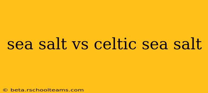 sea salt vs celtic sea salt
