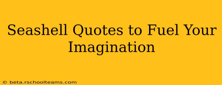 Seashell Quotes to Fuel Your Imagination
