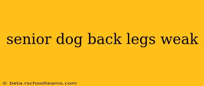 senior dog back legs weak