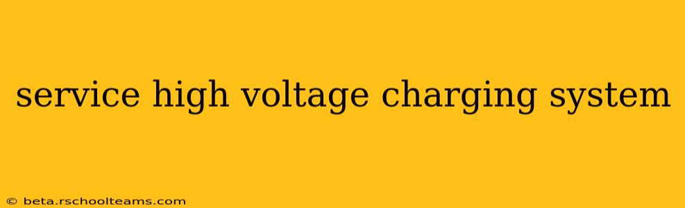 service high voltage charging system