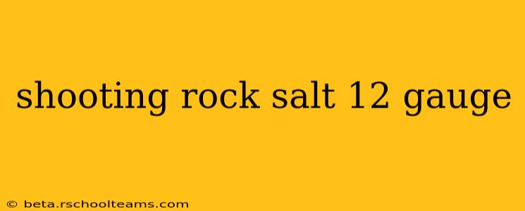 shooting rock salt 12 gauge