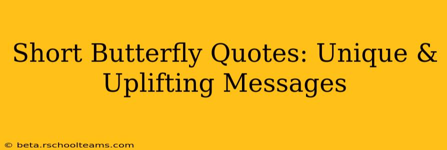 Short Butterfly Quotes: Unique & Uplifting Messages