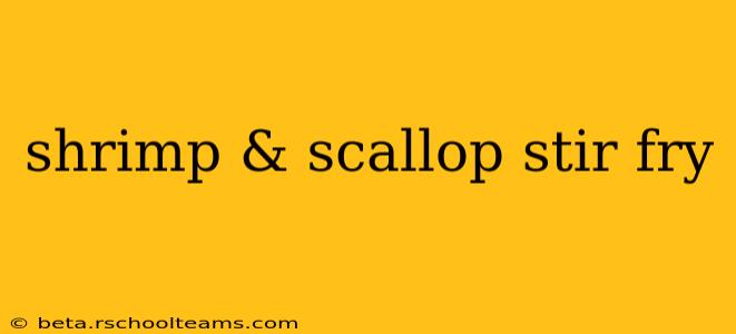 shrimp & scallop stir fry