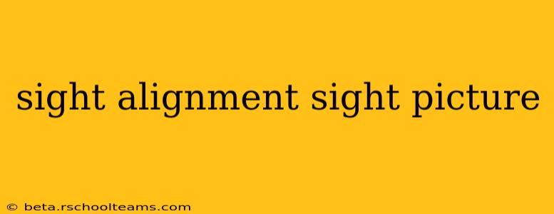 sight alignment sight picture