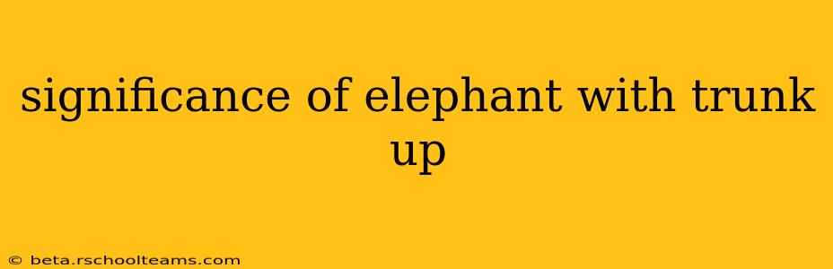 significance of elephant with trunk up