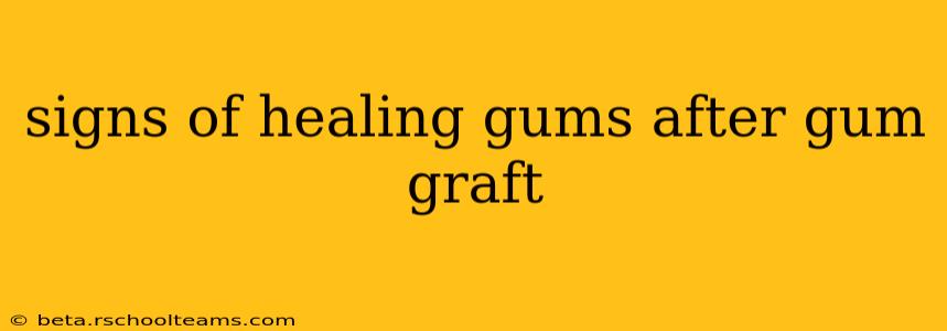 signs of healing gums after gum graft