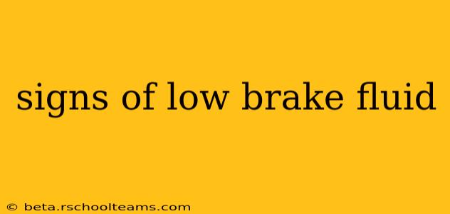 signs of low brake fluid