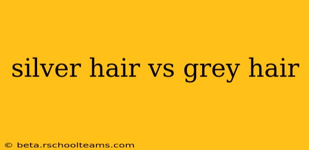 silver hair vs grey hair