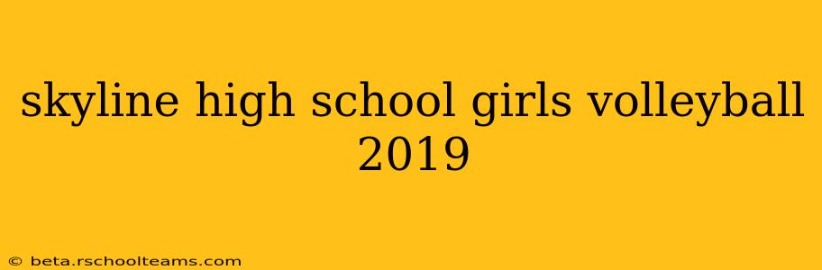 skyline high school girls volleyball 2019