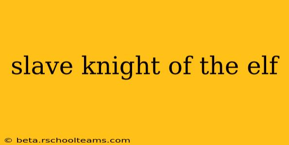 slave knight of the elf