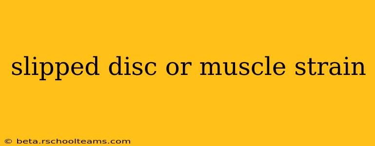 slipped disc or muscle strain