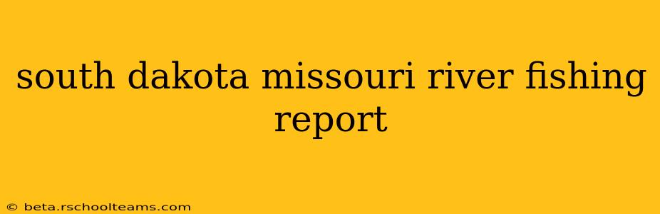 south dakota missouri river fishing report