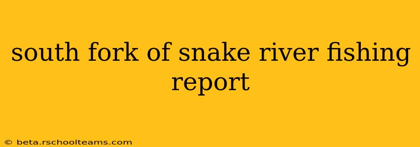 south fork of snake river fishing report