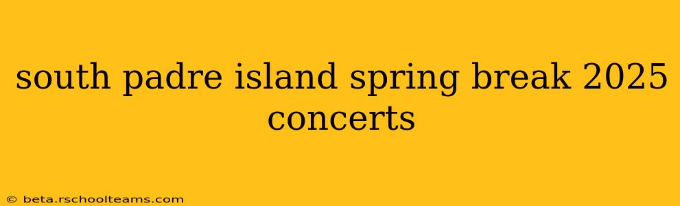 south padre island spring break 2025 concerts