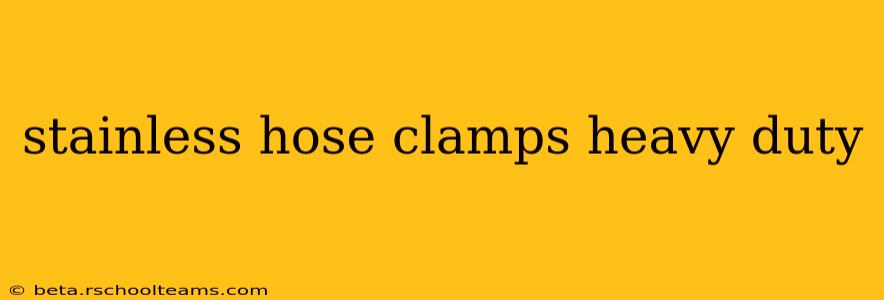 stainless hose clamps heavy duty