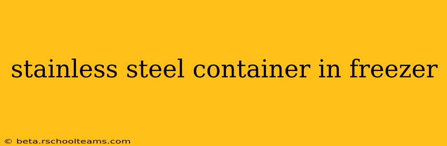 stainless steel container in freezer