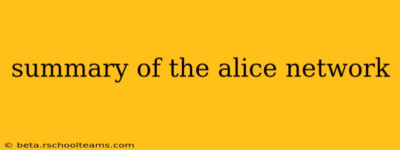 summary of the alice network