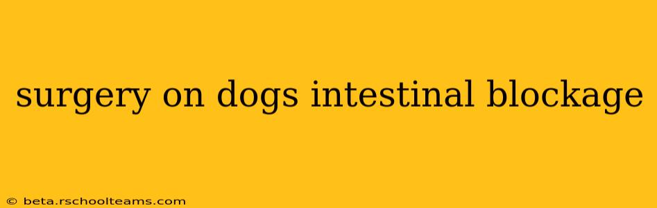 surgery on dogs intestinal blockage