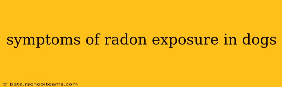 symptoms of radon exposure in dogs
