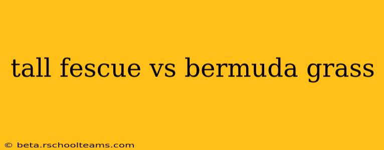 tall fescue vs bermuda grass