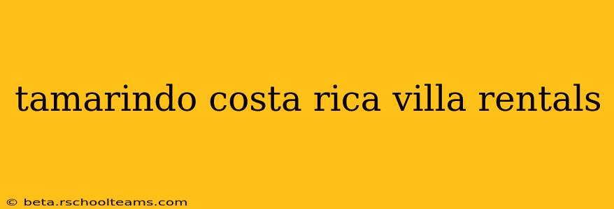 tamarindo costa rica villa rentals