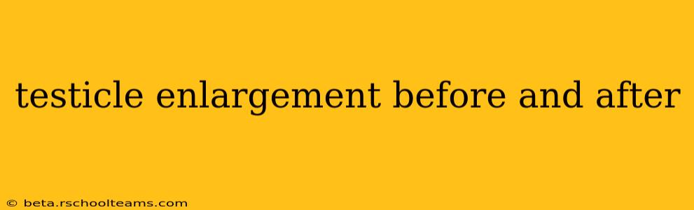 testicle enlargement before and after