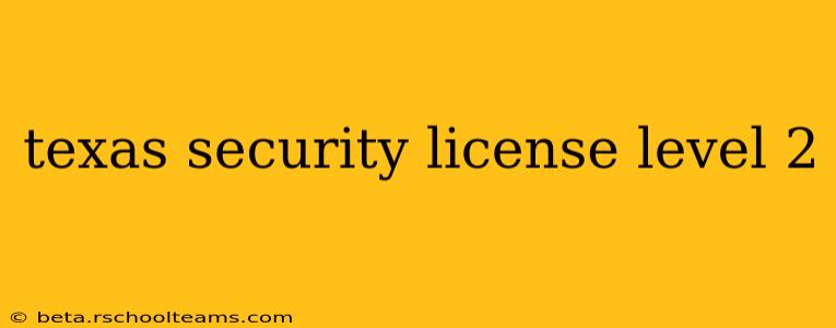 texas security license level 2