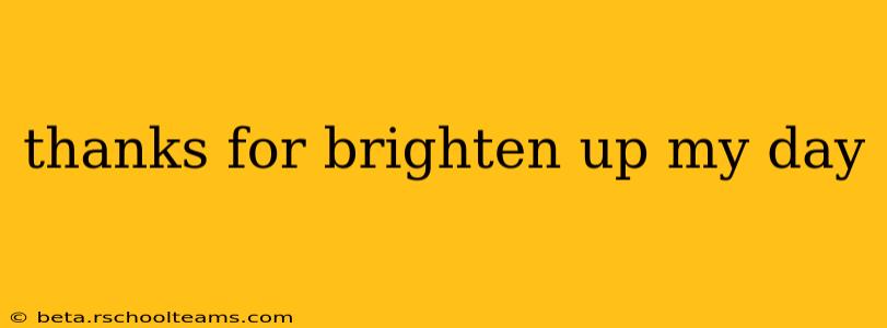 thanks for brighten up my day thanks for brighten up my day