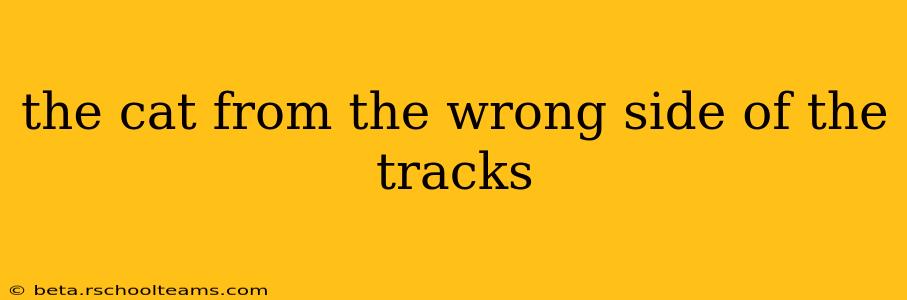 the cat from the wrong side of the tracks