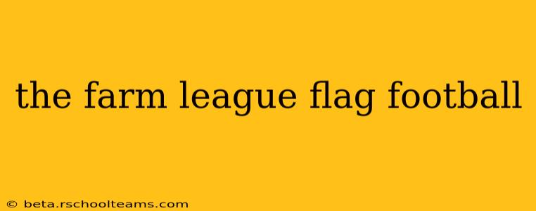 the farm league flag football