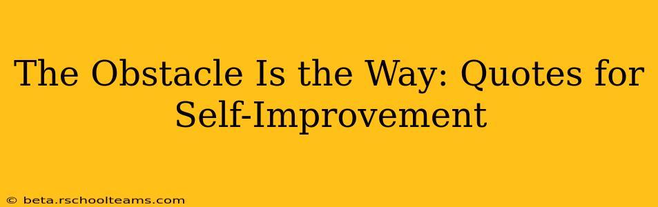 The Obstacle Is the Way: Quotes for Self-Improvement