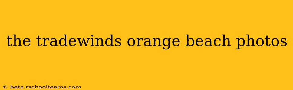 the tradewinds orange beach photos