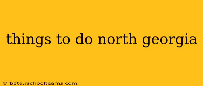 things to do north georgia