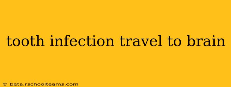tooth infection travel to brain