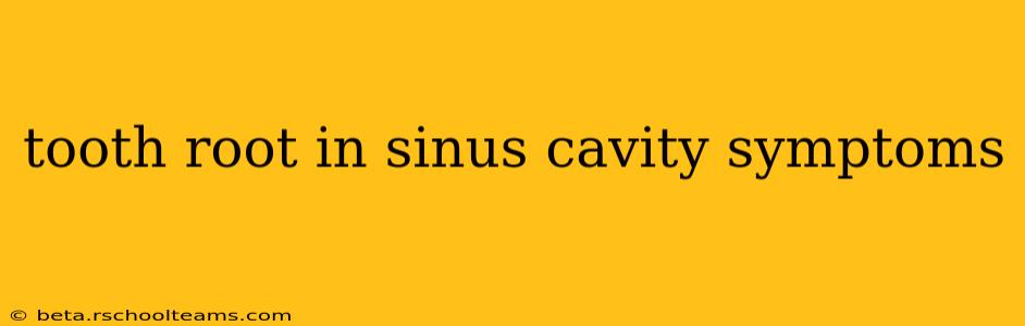 tooth root in sinus cavity symptoms