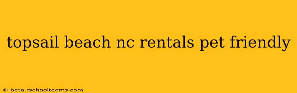 topsail beach nc rentals pet friendly