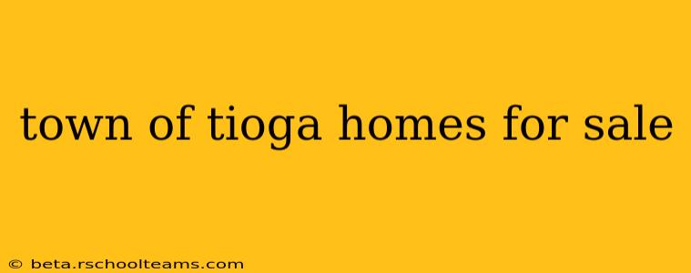 town of tioga homes for sale