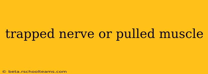 trapped nerve or pulled muscle