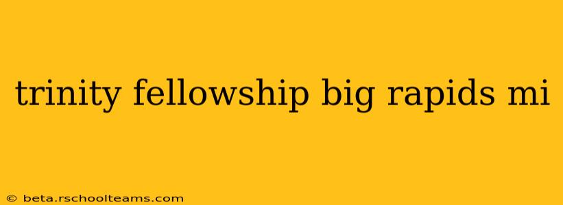 trinity fellowship big rapids mi