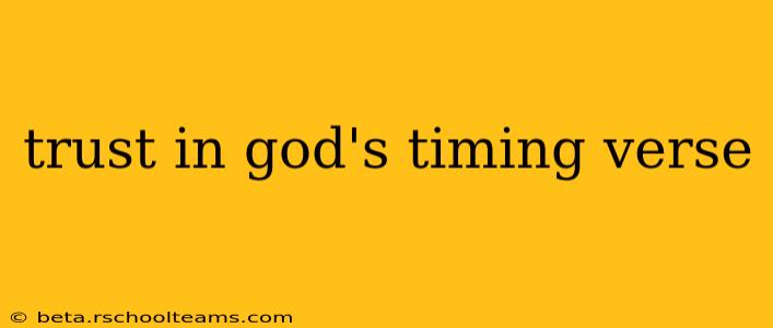 trust in god's timing verse