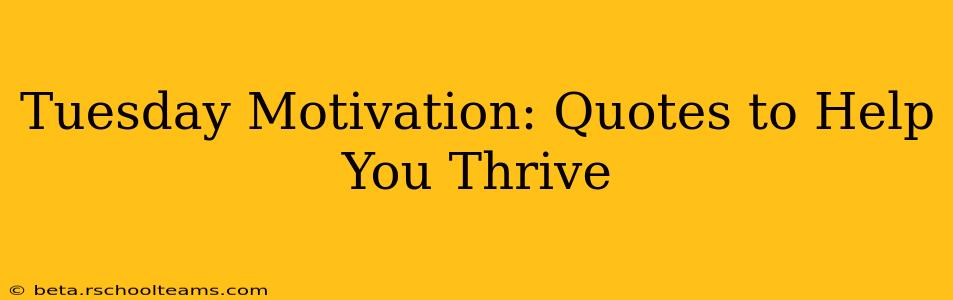 Tuesday Motivation: Quotes to Help You Thrive