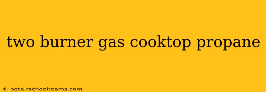 two burner gas cooktop propane