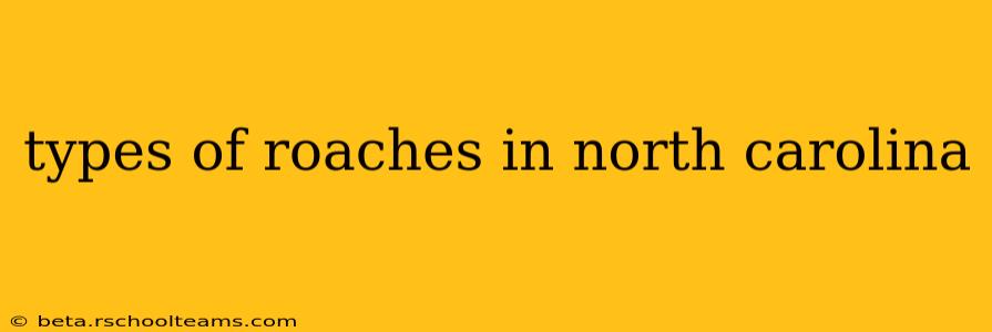 types of roaches in north carolina